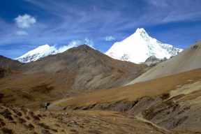 layas_trek bhutan